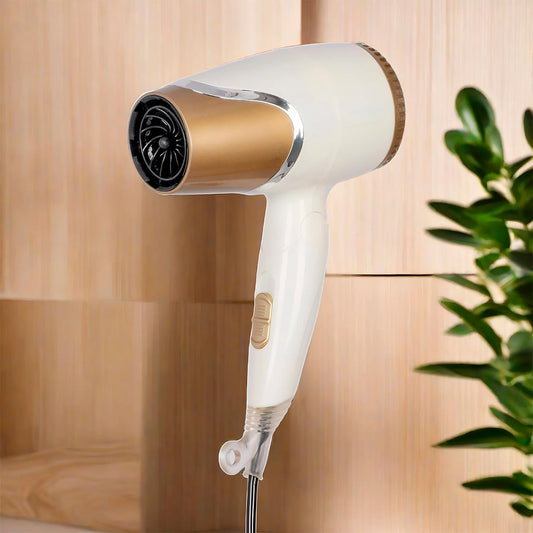Secador de Cabello Profesional